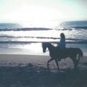 Meet your Posher, Gwendalyn